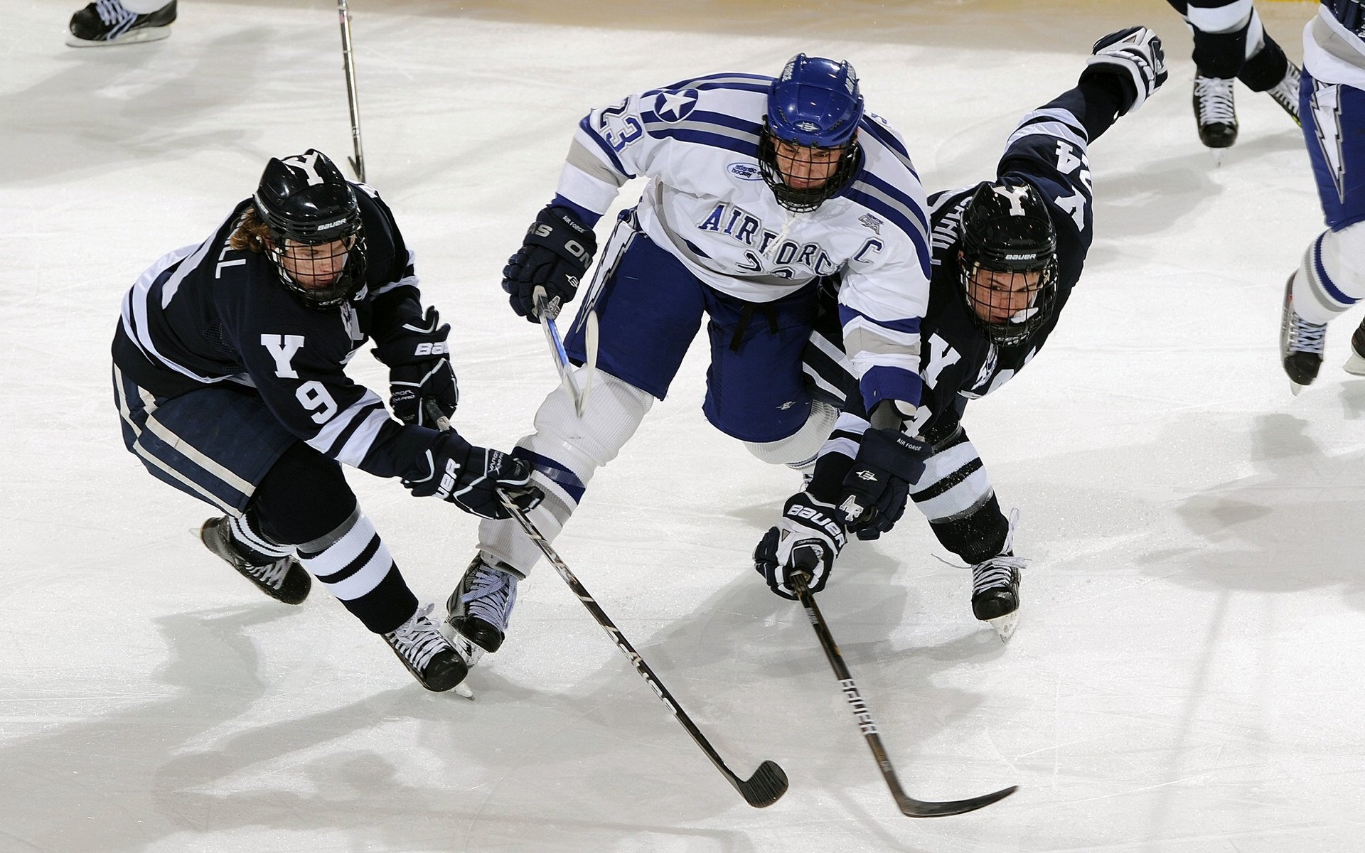 球迷安全手册发布,规范观赛行为与应急指引,球迷知识问答